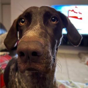 Meet your Posher, April